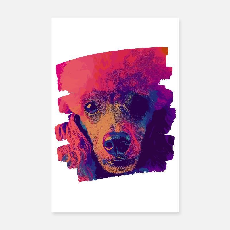 Caniche Poster 20 x 30 cm