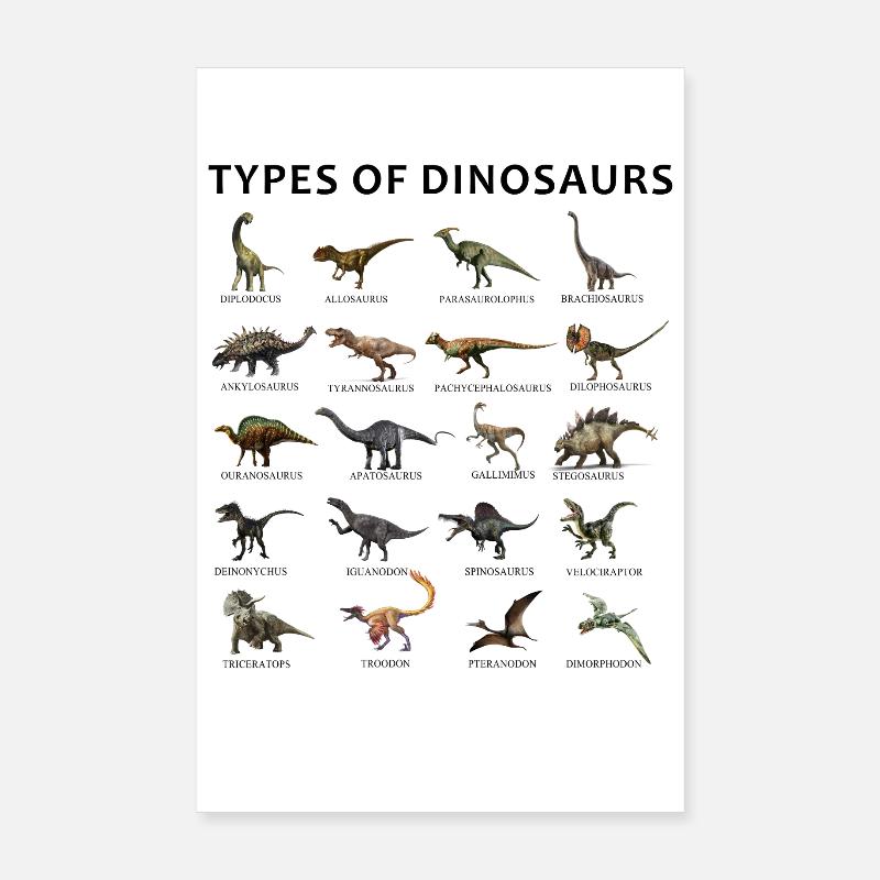 Types de dinosaures Poster 20 x 30 cm