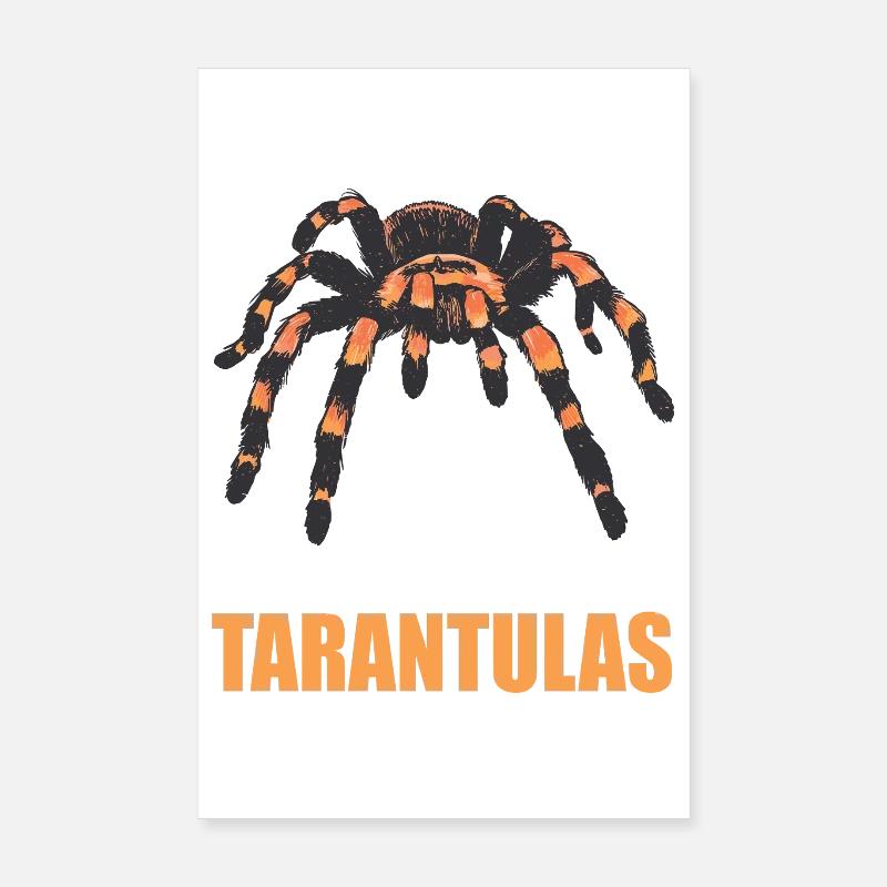 Tarentules Tarentule Poster 20 x 30 cm