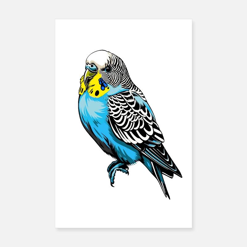 Conception vectorielle de perruche colorée Poster 20 x 30 cm