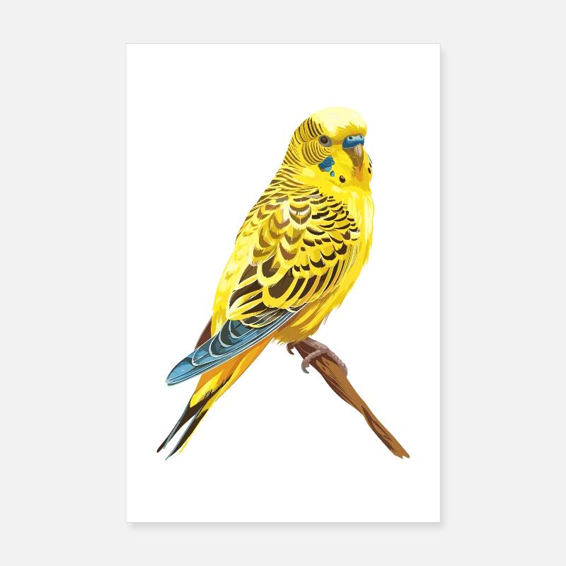 Perruche jaune dans la branche d’automne Poster 20 x 30 cm