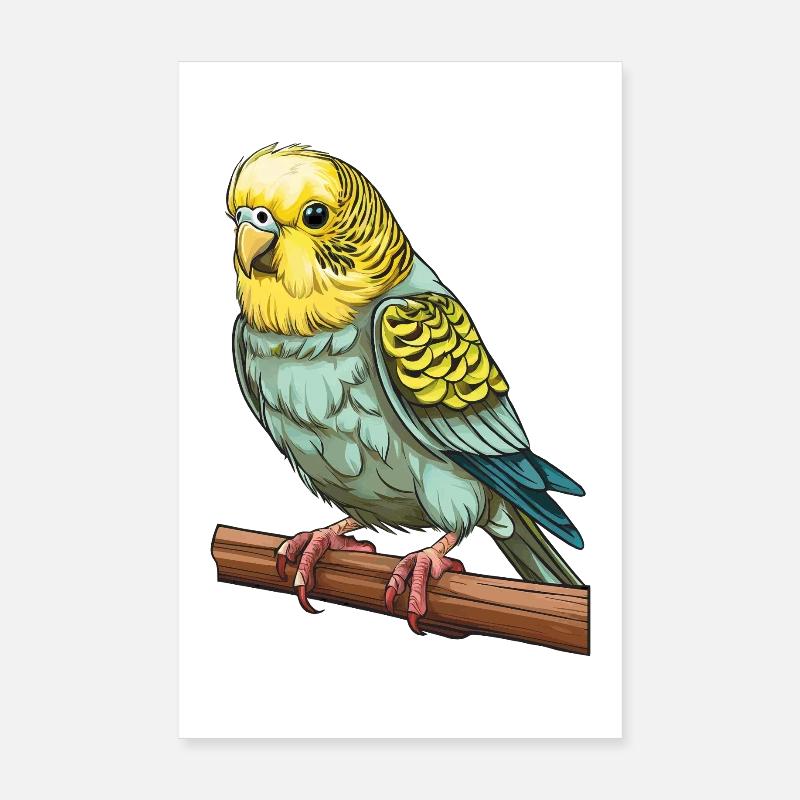 BIRD BUDGIE Poster 8" x 12" (20x30 cm)