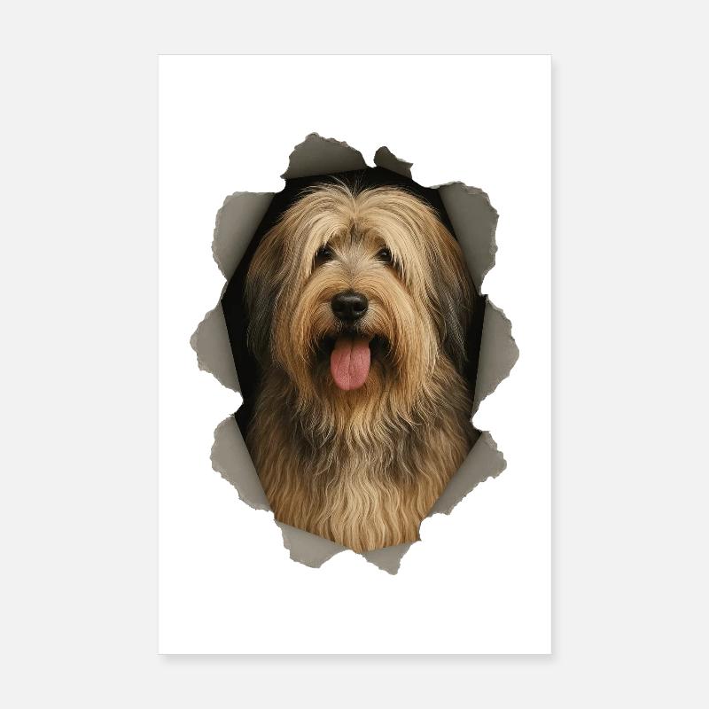 Catalan Sheepdog Poster 8" x 12" (20x30 cm)