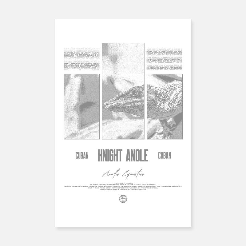 Cuban Knight Anole Lizard Owner Reptile Keeper Poster 8" x 12" (20x30 cm)