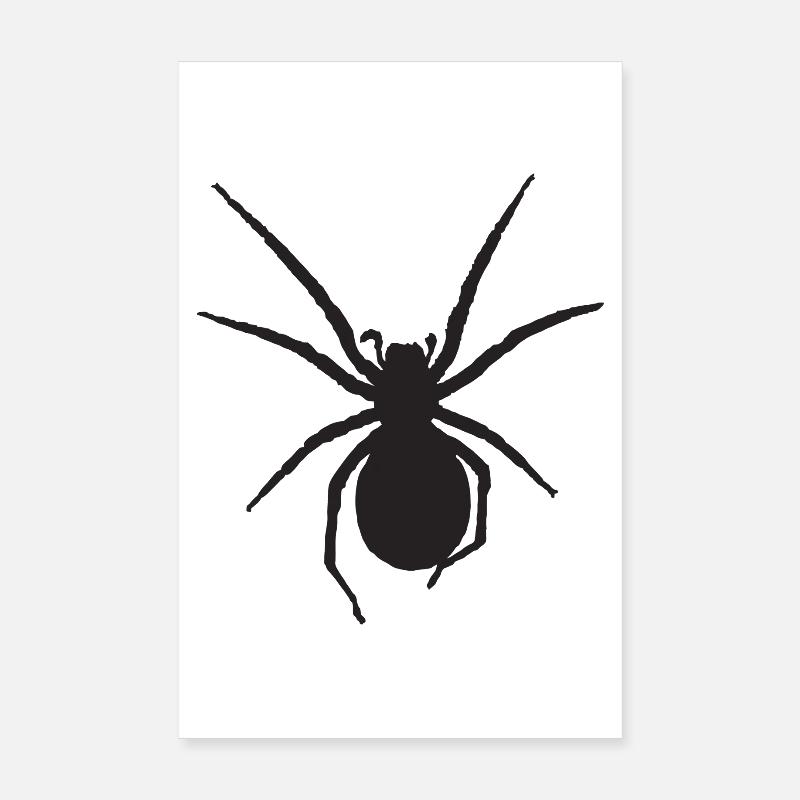 Araignée Nosferatu Araignée Poster 20 x 30 cm