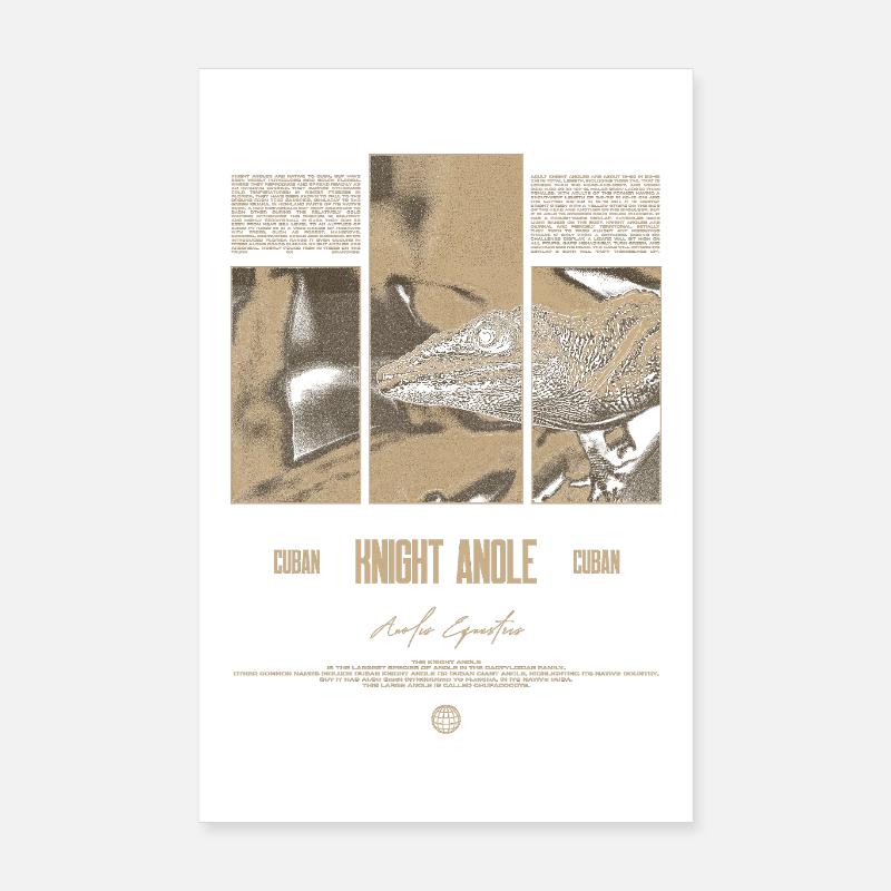 Cuban Knight Anole Lizard Owner Reptile Keeper Poster 8" x 12" (20x30 cm)