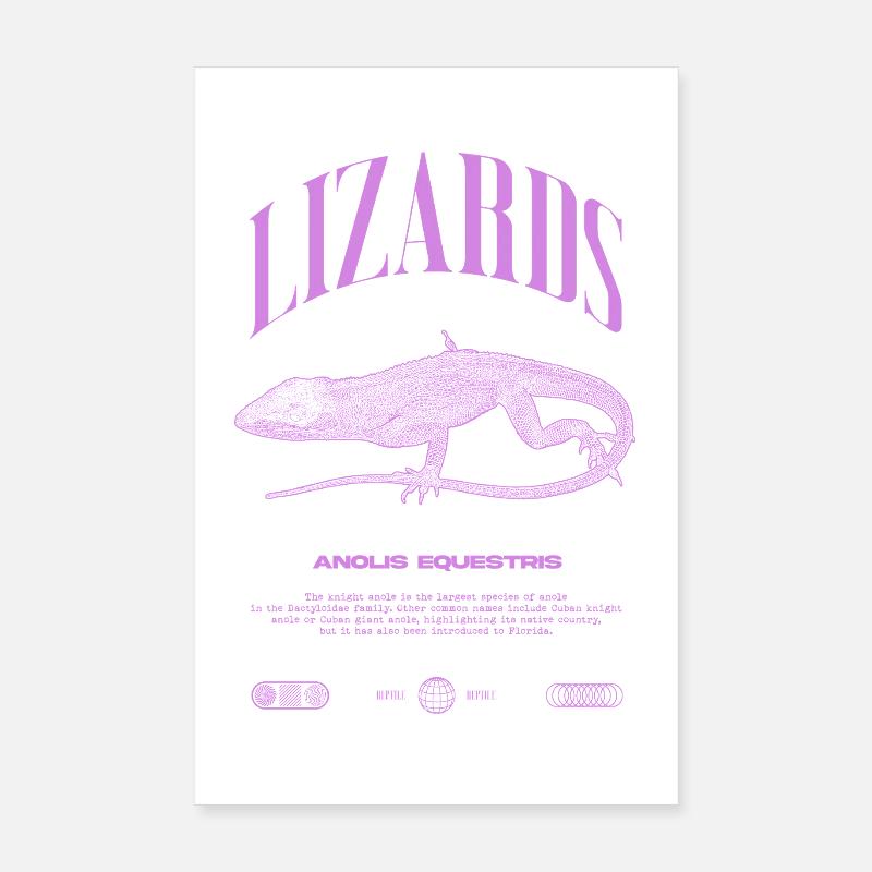 Cuban Knight Anole Reptile Keeper Lizard Poster 8" x 12" (20x30 cm)