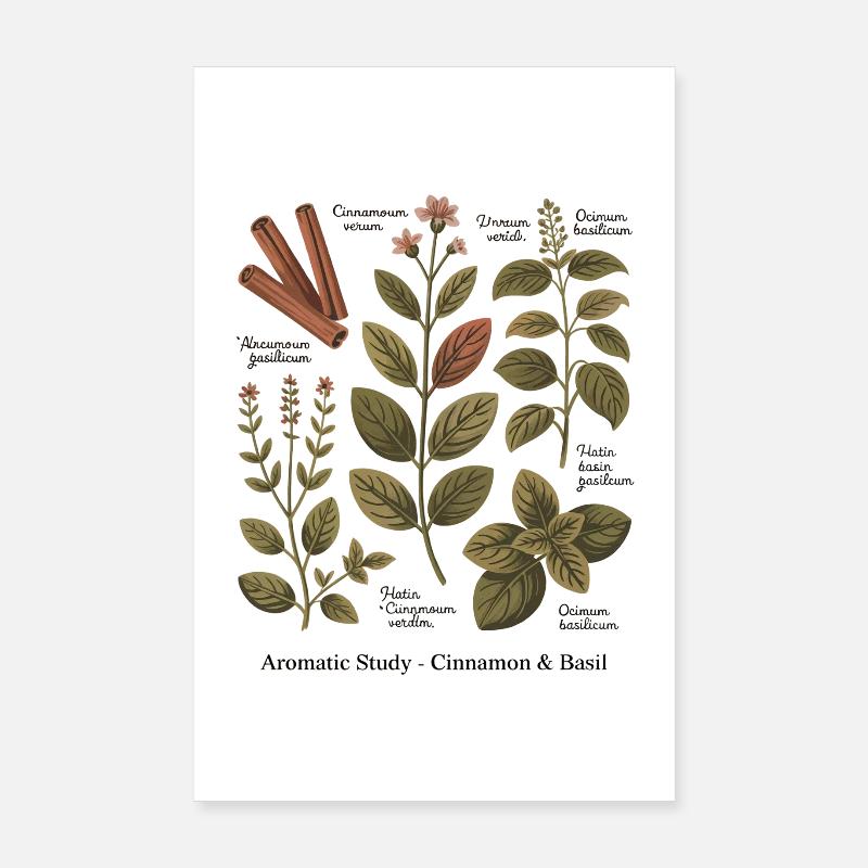 Aromatic Study – Cinnamon & Basil Poster 8" x 12" (20x30 cm)