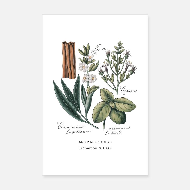 Botanical Art - Cinnamon & Basil Poster 8" x 12" (20x30 cm)
