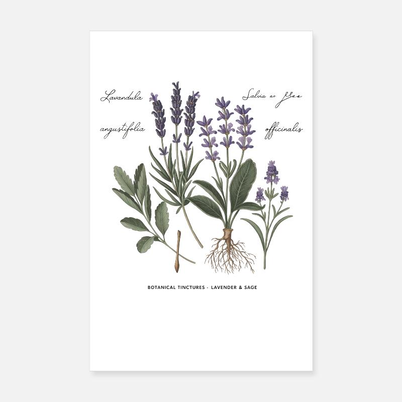 Botanical Medicinal Herbs Poster 8" x 12" (20x30 cm)