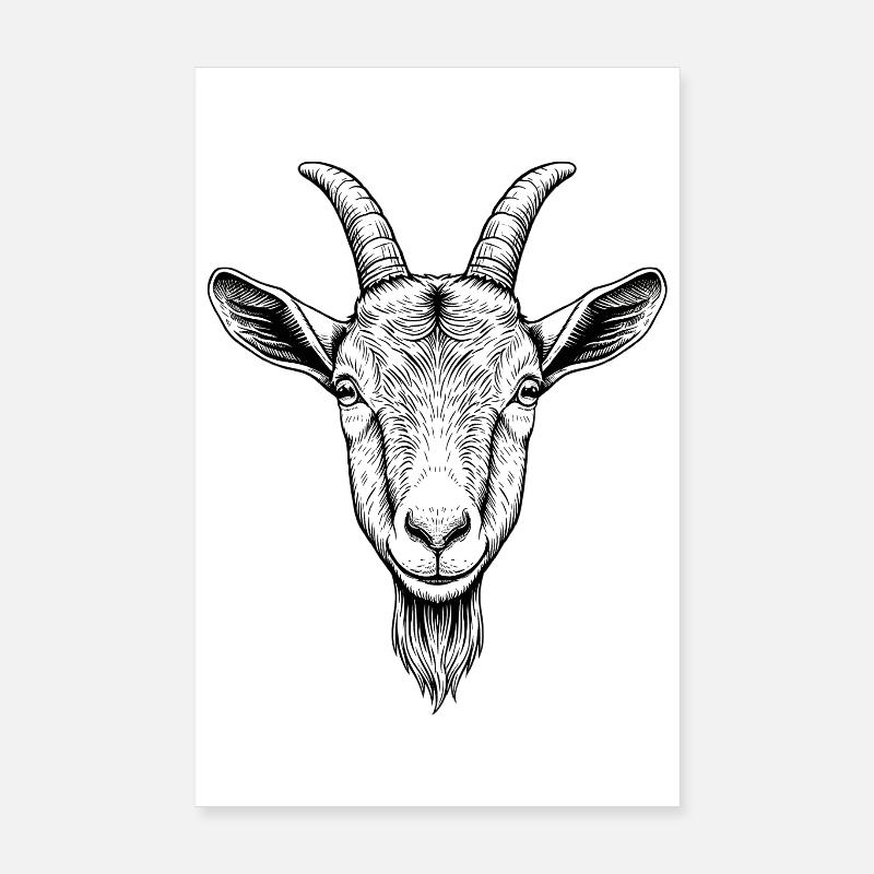Ziege - Poster 20x30 cm - Weiß