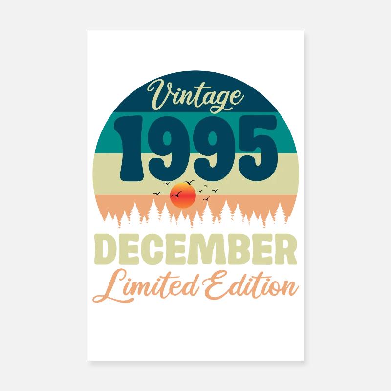 30. Geburtstag 30 Jahre Dezember 1995 Geschenkidee Poster 20x30 cm