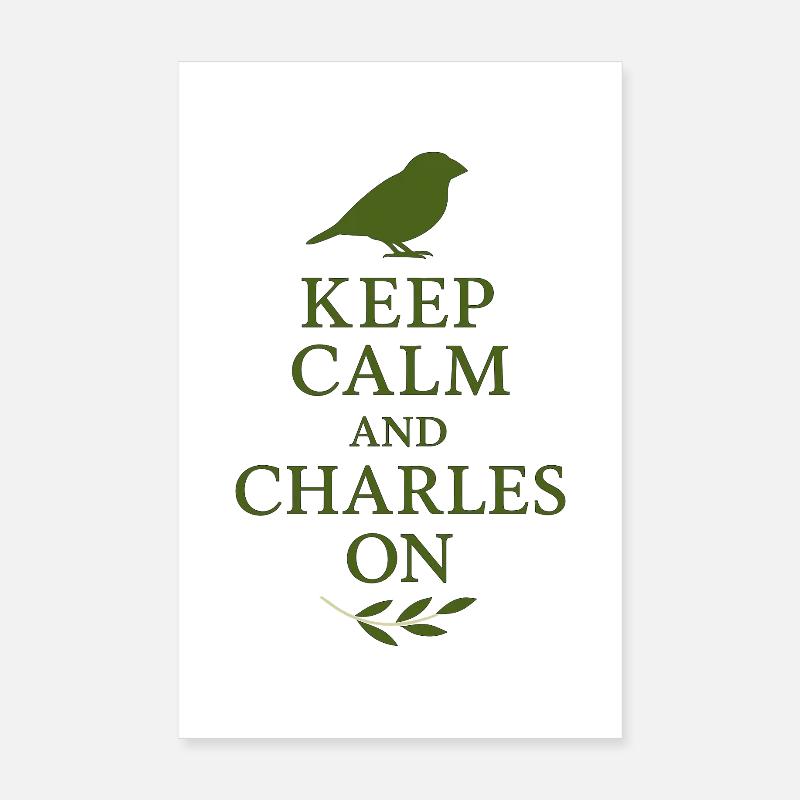 Charles Darwin Don Natural Poster 20 x 30 cm