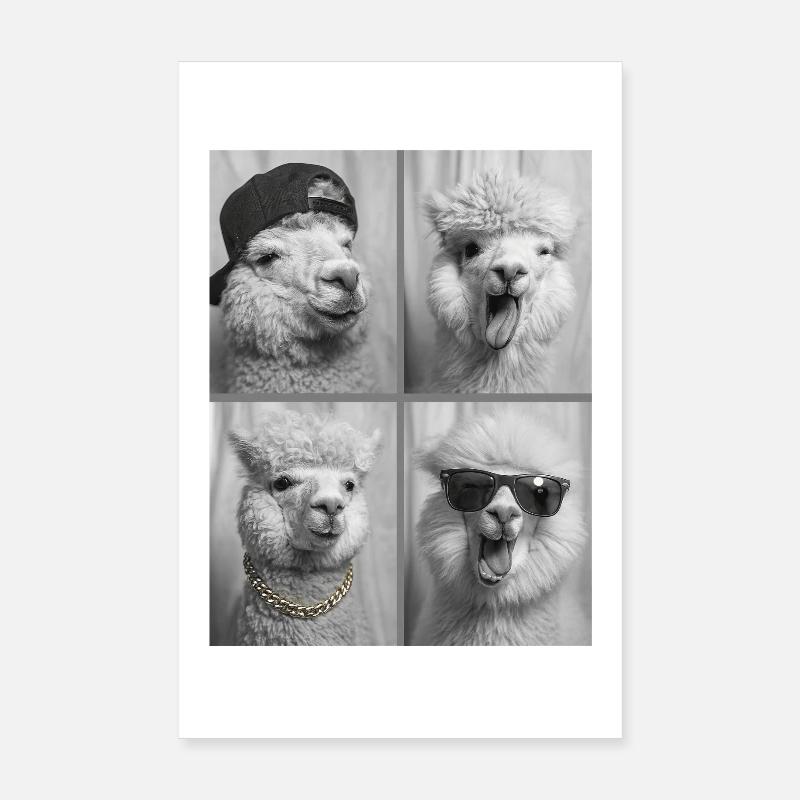 alpaca Poster 8" x 12" (20x30 cm)