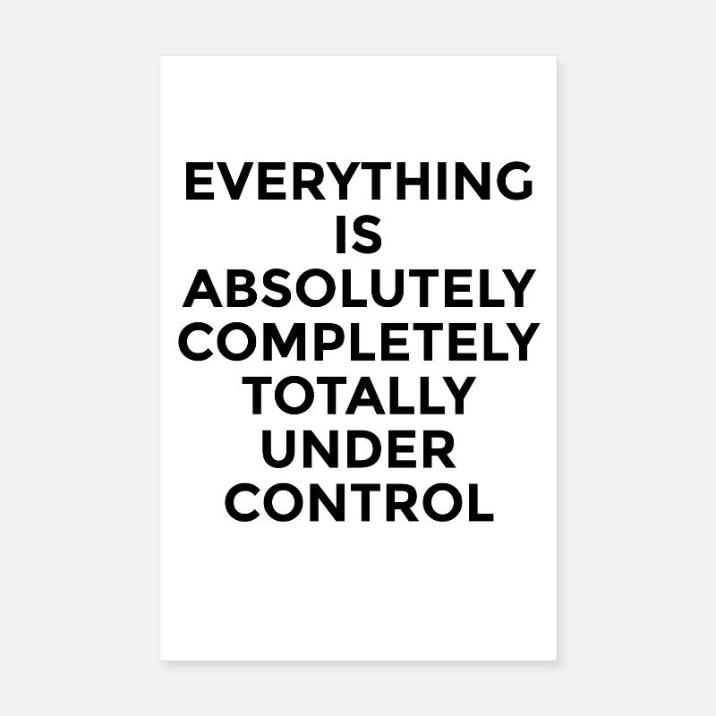 Everything Under Control – Witziger Humor Spruch Poster 20 x 30 cm