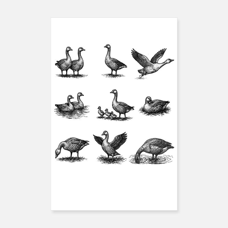 Gänse-Ensemble Vintage Gravur Poster 20x30 cm