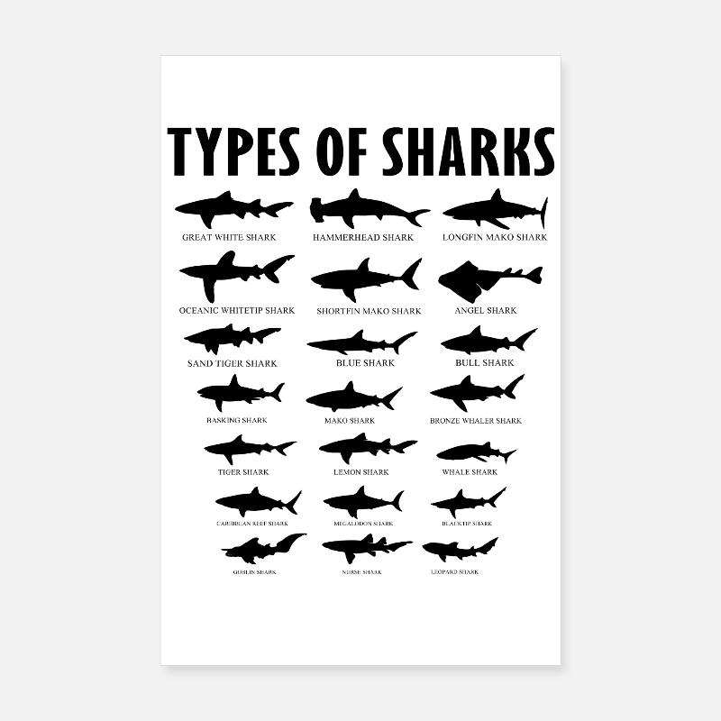 Tableau des types éducatifs d’espèces de requins Poster 20 x 30 cm