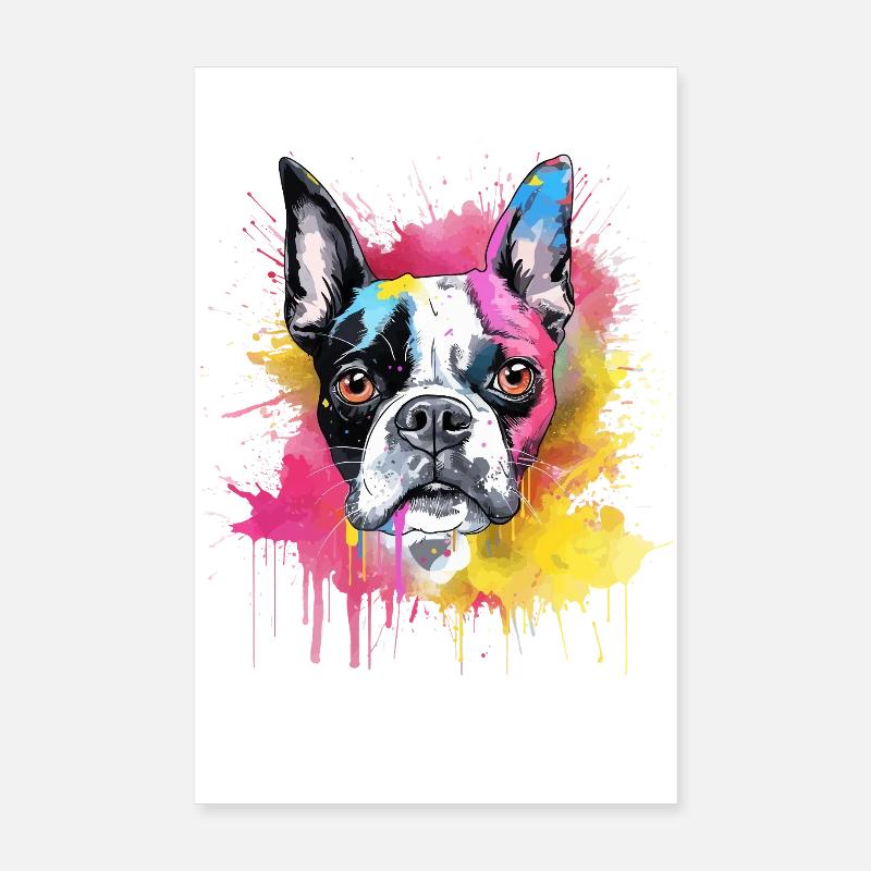 Boston Terrier, chien coloré à l’art éclaboussé Poster 20 x 30 cm