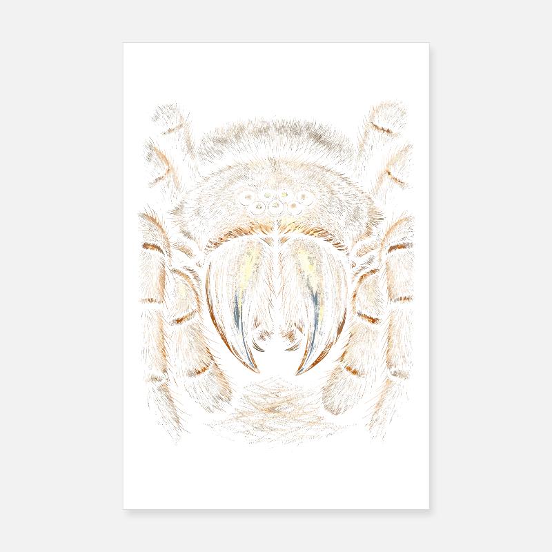 Tarentule Poster 20 x 30 cm