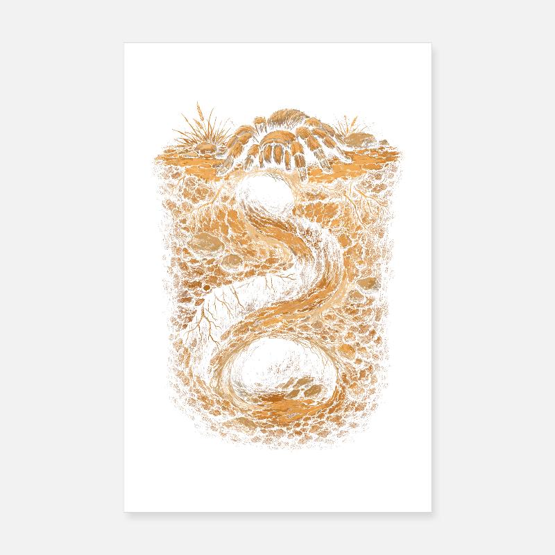 Tarentule Poster 20 x 30 cm