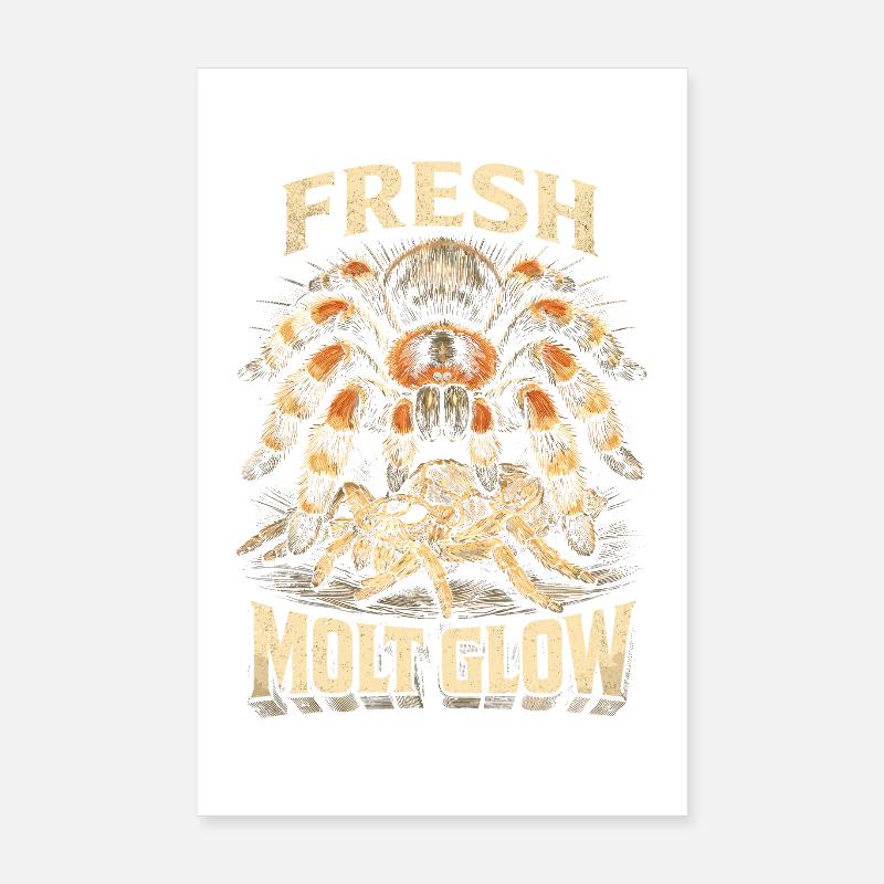 Tarantula Fresh Molt Poster 8" x 12" (20x30 cm)