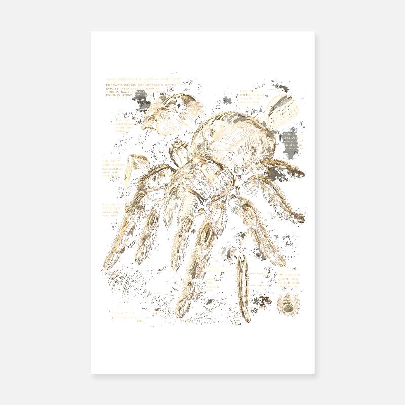 Tarantula Poster 8" x 12" (20x30 cm)