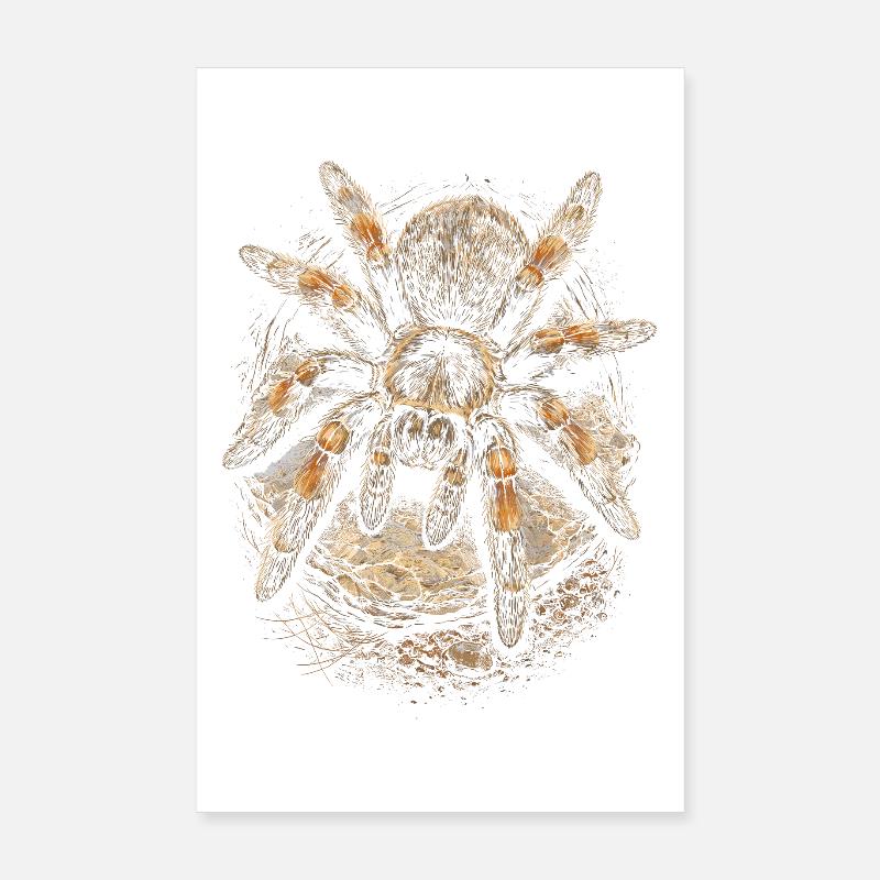 Tarantula Poster 8" x 12" (20x30 cm)