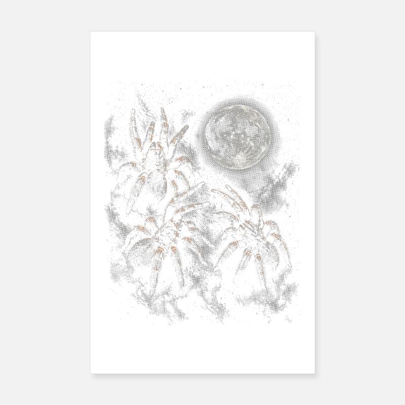 Scène de la Tarentule de la Nuit Lunaire Poster 20 x 30 cm