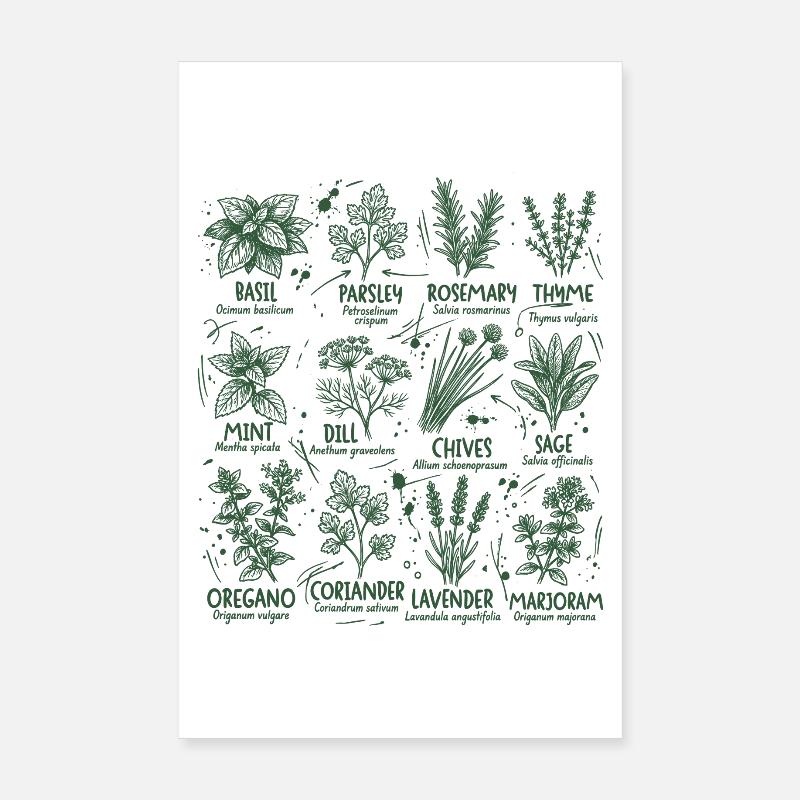 Herbs Botany Kitchen Basil Rosemary Poster 8" x 12" (20x30 cm)