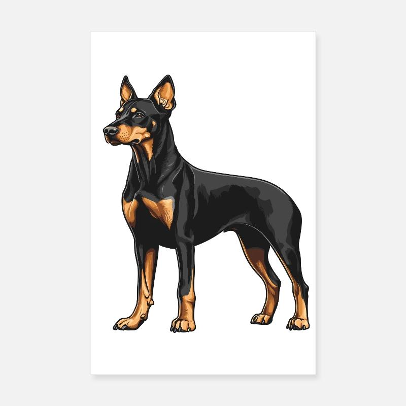 Doberman Poster 20 x 30 cm