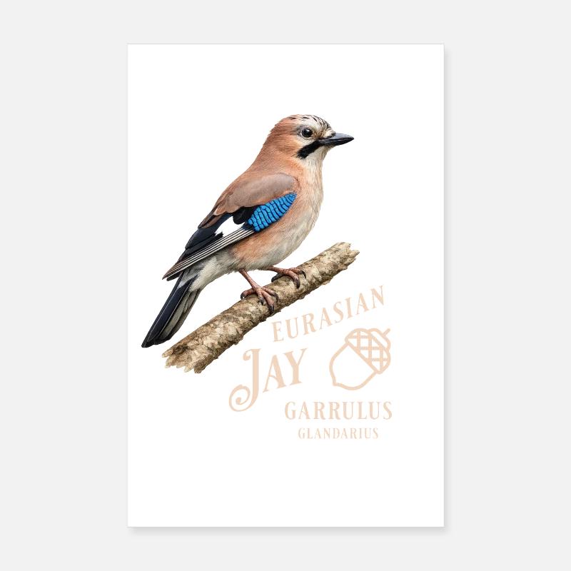 Eurasian Jay Eichelhäher Vogel Design Poster 20x30 cm