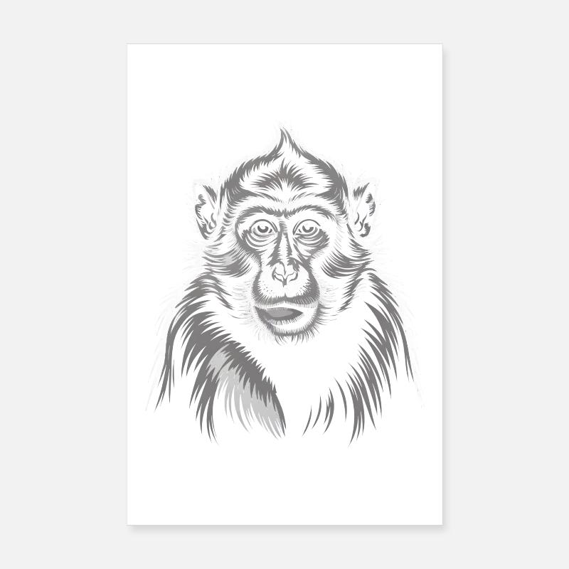 Singe Gris Poster 20 x 30 cm