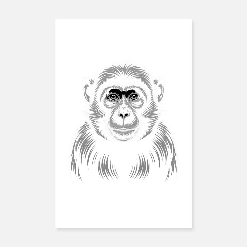 Affe Poster 20x30 cm