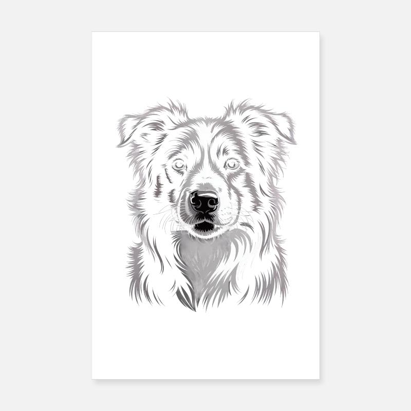 Border Collie Poster 20 x 30 cm