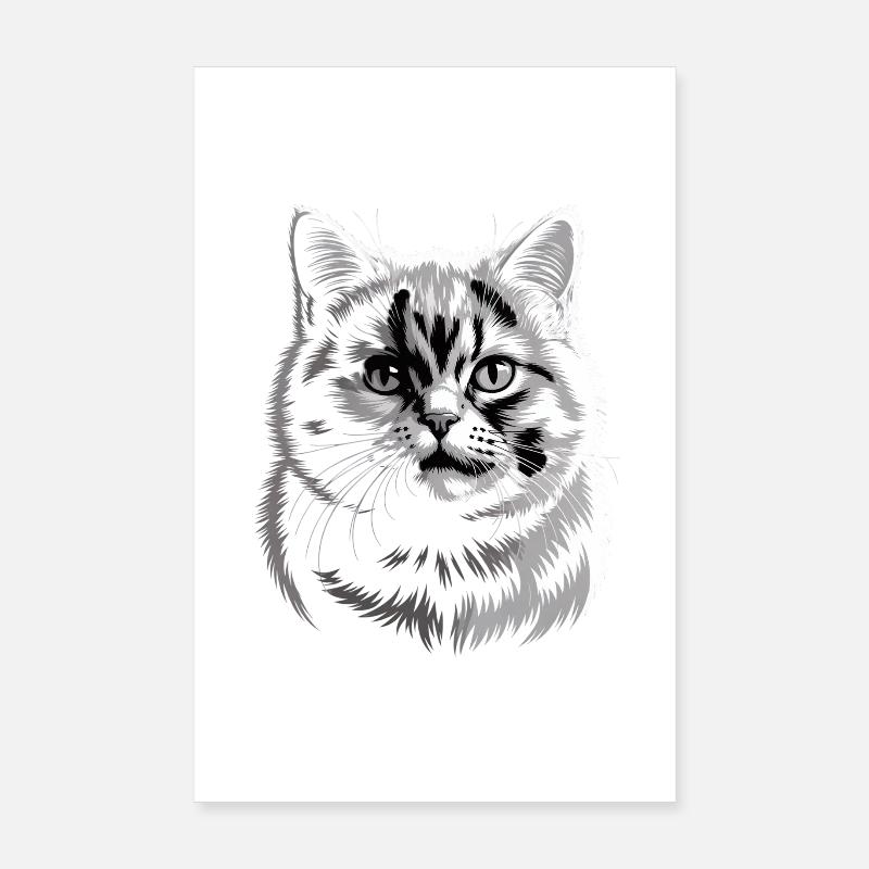 Britisch Kurzhaar BKH Poster 20x30 cm
