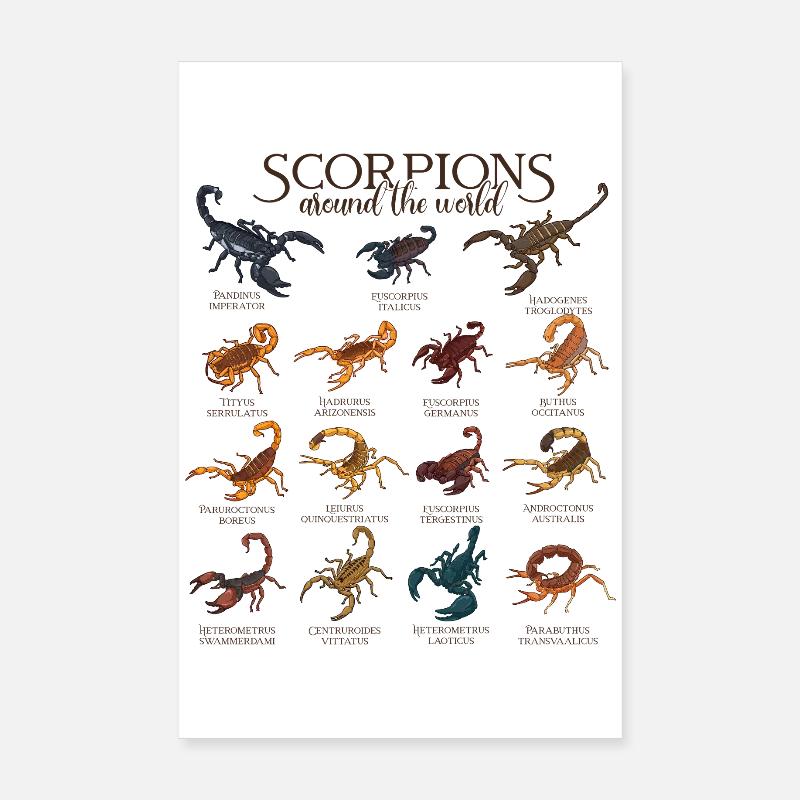 Scorpions dans le monde - Scorpion Poster 20 x 30 cm