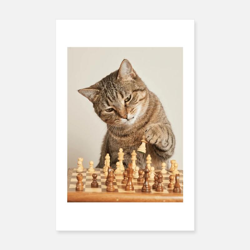 Chat jouant aux échecs Poster 20 x 30 cm