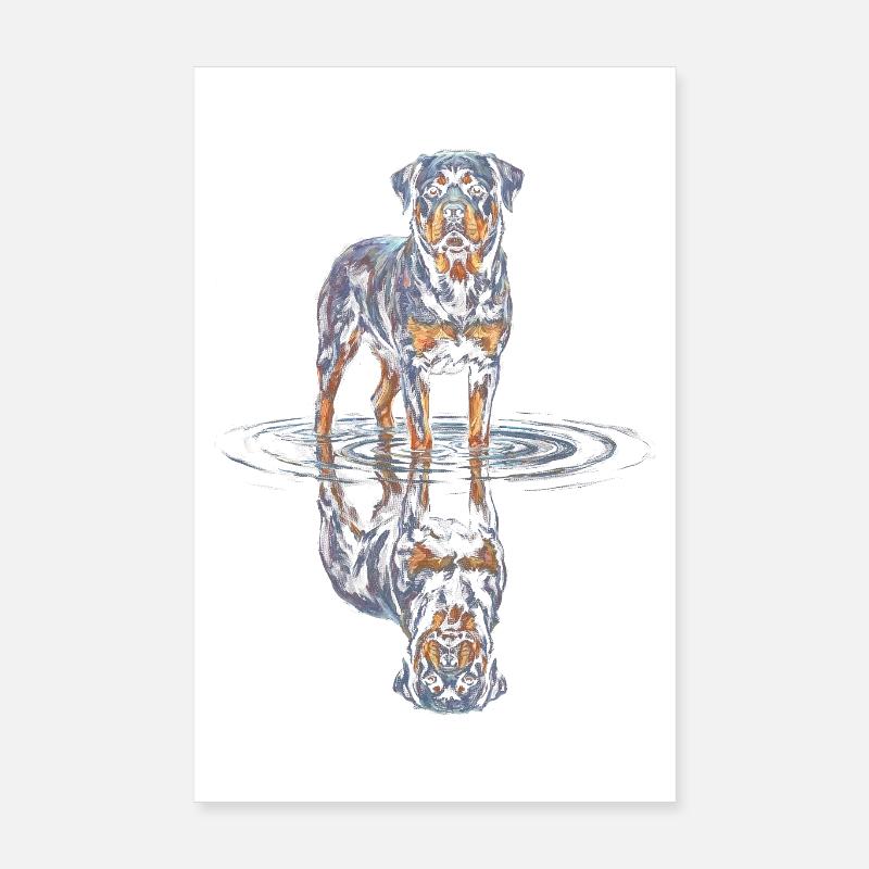 Rottweiler with water reflection Poster 8" x 12" (20x30 cm)