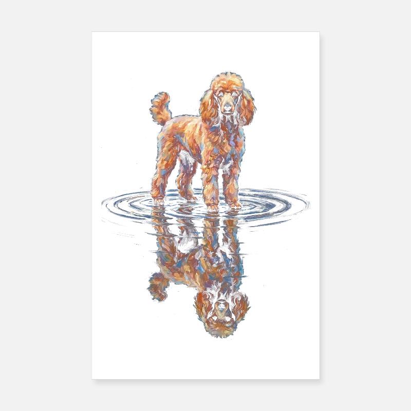 Caniche avec réflexion dans l’eau Poster 20 x 30 cm
