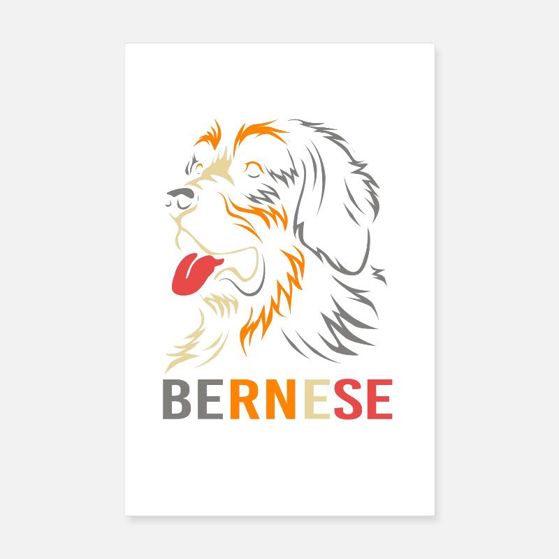 Bouvier bernois Poster 20 x 30 cm