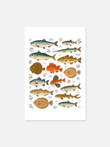 Meeresfische | Ozean & Fischkunde - Poster 20x30 cm - Weiß - Vorne