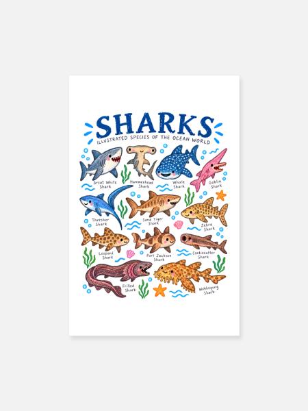 Haie Arten Lexikon Meeresbiologie Hai Illustration - Poster 20x30 cm - Weiß