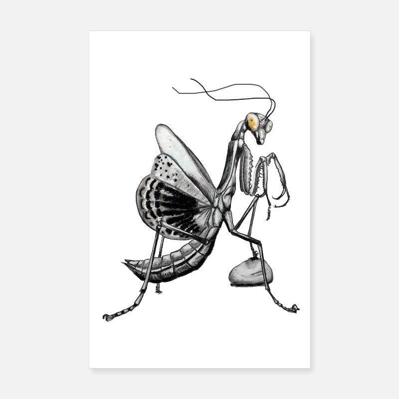 Gottesanbeterin Poster 20x30 cm