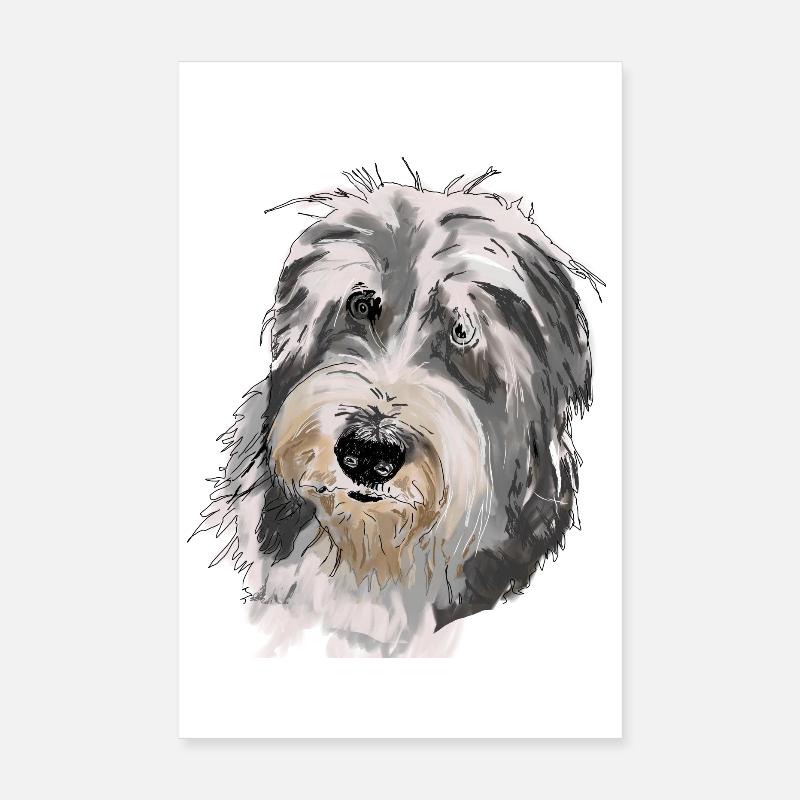 Bearded Collie Poster 8" x 12" (20x30 cm)