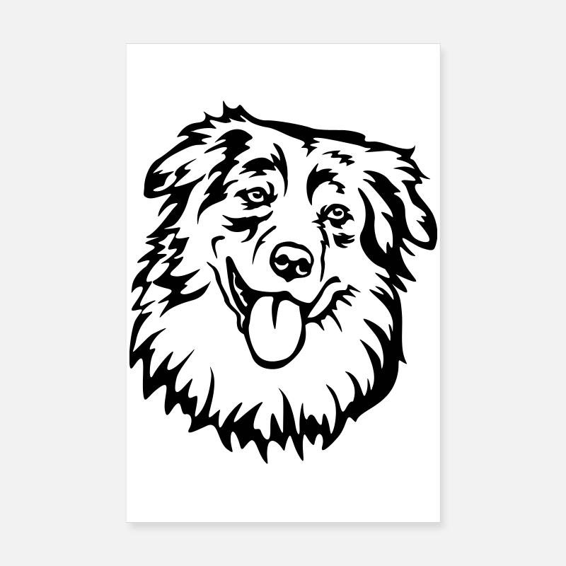 Australian Shepherd Head Poster 8" x 12" (20x30 cm)