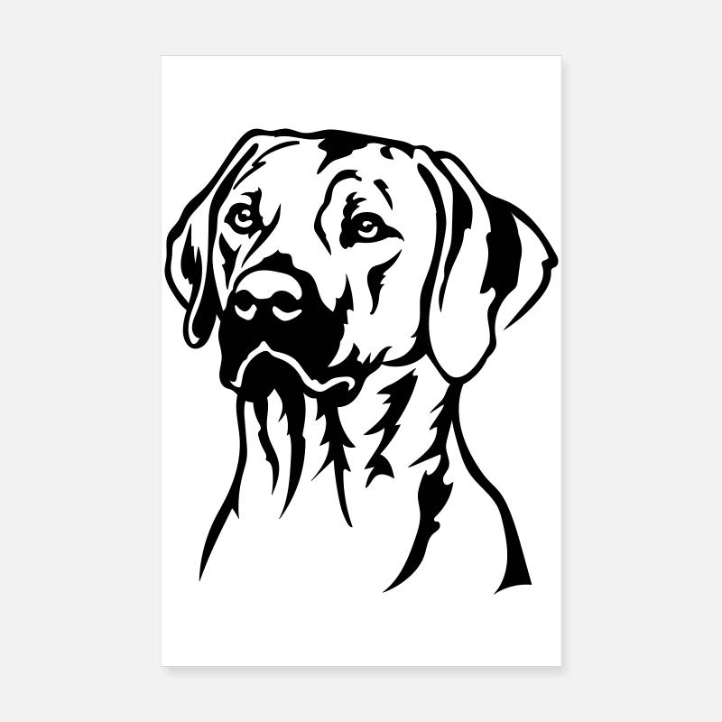 Rhodesian Ridgeback Kopf Poster 20x30 cm