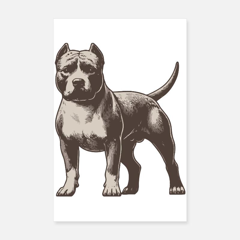Pitbull terrier américain Poster 20 x 30 cm