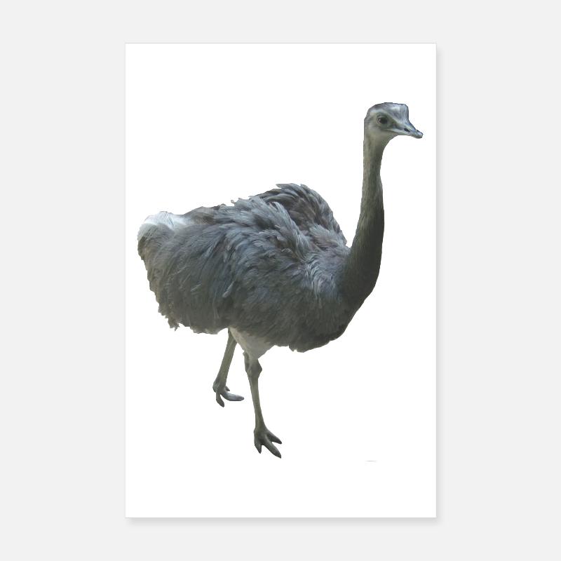 Vogel Nandu Poster 20x30 cm