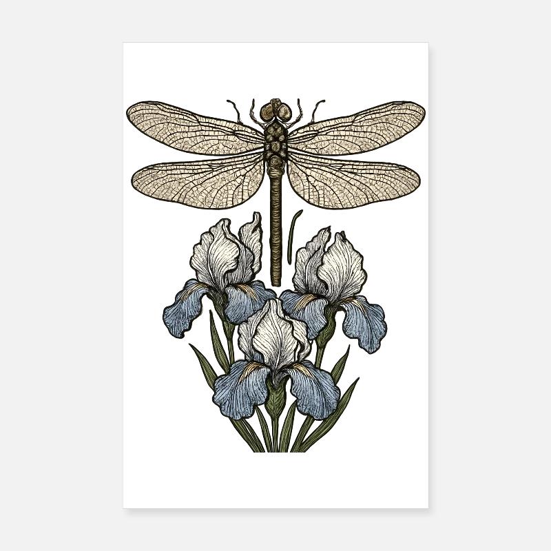Dragonfly over iris flowers Poster 8" x 12" (20x30 cm)