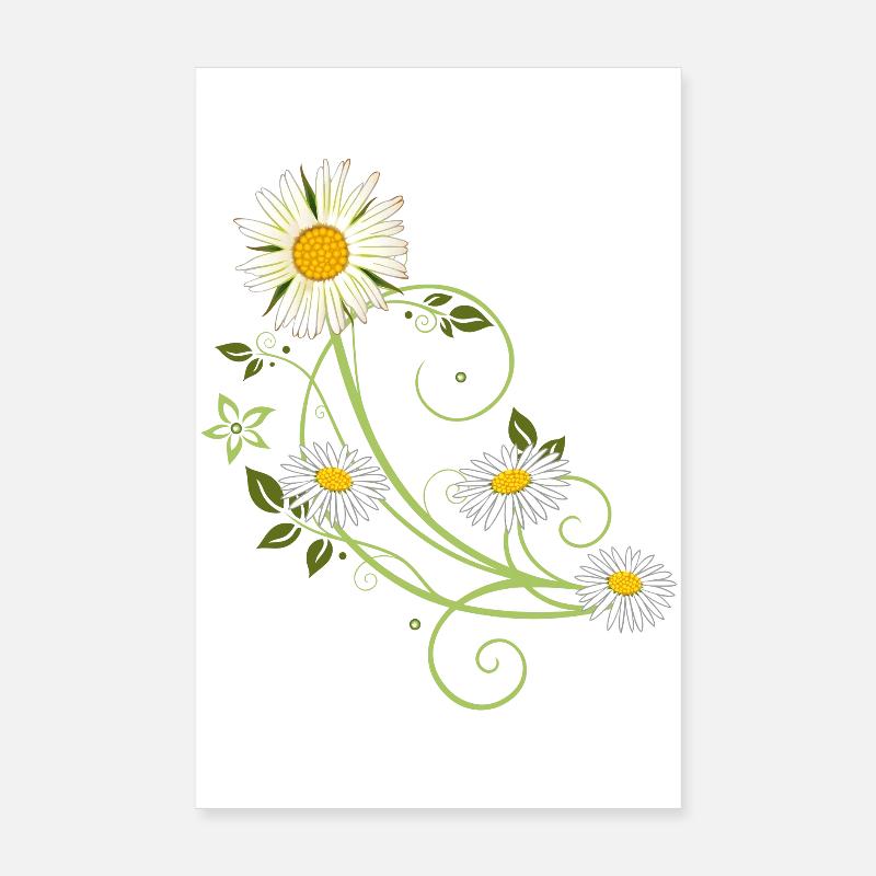 Ranke mit Margerite und Gänseblümchen - Poster 20x30 cm - Weiß